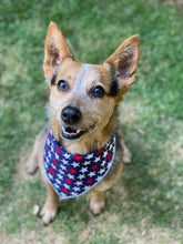 Tie on Patriotic Dog Bandana