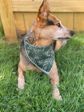 Adventure Nights Green Tie on Dog Bandana