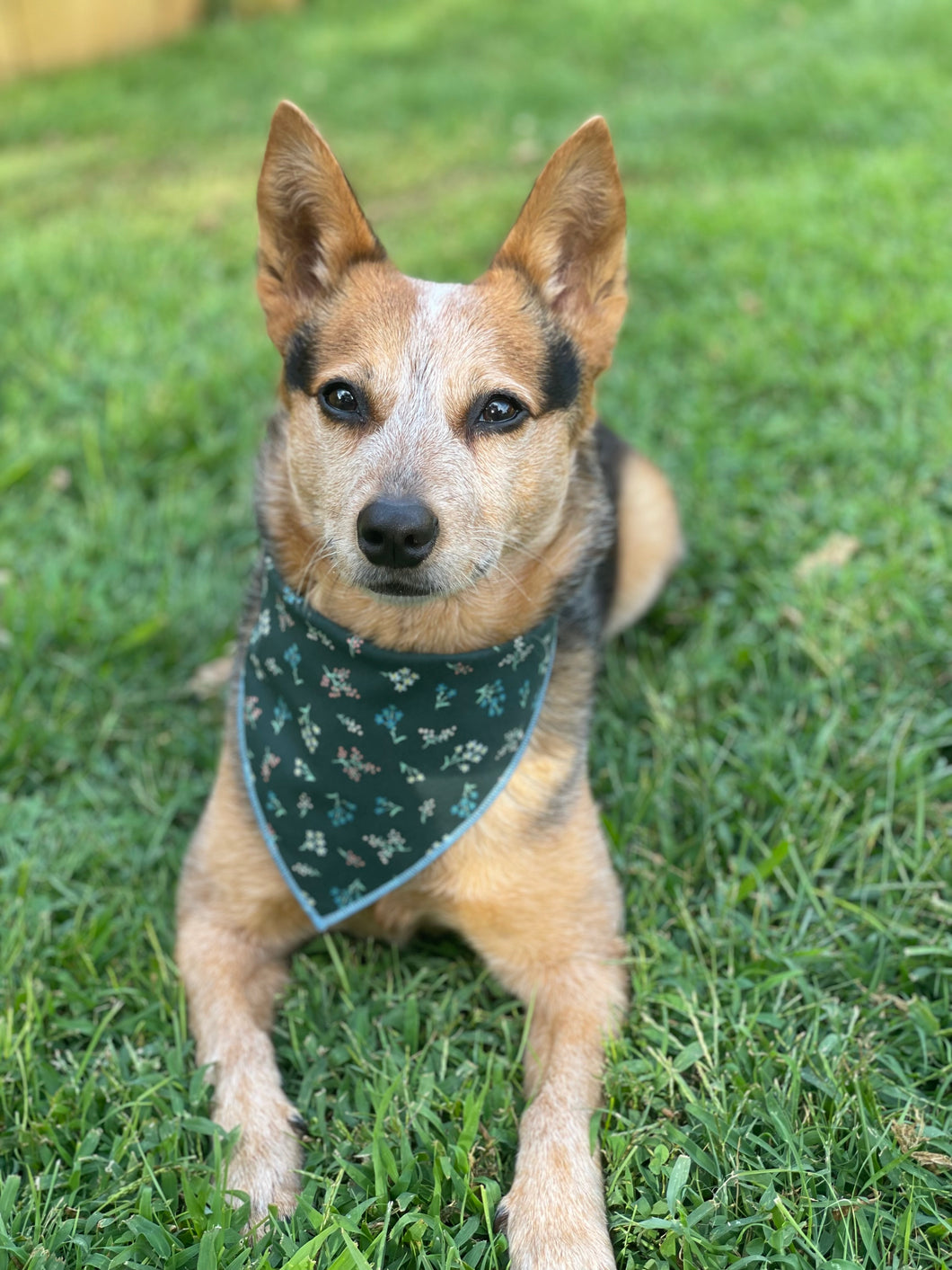 Green Botanicals Tie on Dog Bandana