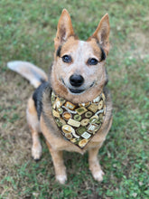 Camper Badges tie on Dog Bandana