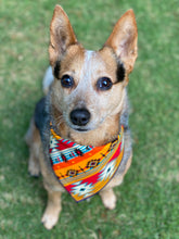 Sedona tie on Dog Bandana