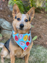 All the Donuts 🍩 Tie on Dog Bandana