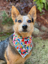 Tie on Garden Party Dog Bandana
