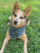 Adventure Nights Blue Tie on Dog Bandana