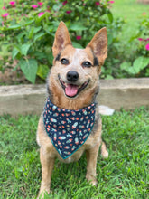 Tie On Prickly Pear Dog Bandana