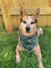 Adventure Nights Green Tie on Dog Bandana