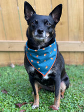 Campfire tie on Dog Bandana