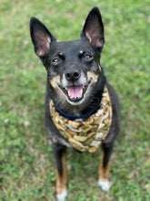 Camper Badges tie on Dog Bandana