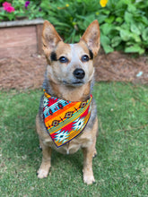 Sedona tie on Dog Bandana