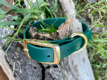 Vegan Leather Dog Collars 3/4” - Brass