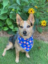 Tie on Georgia Peach ๐ Dog Bandana