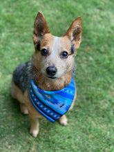 Indigo dreams tie on Dog Bandana
