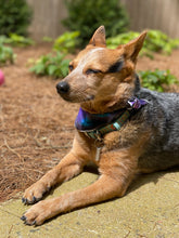 Stargazer Tie on Dog Bandana