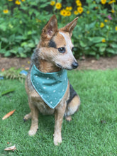 Evergreen 🌲 tie on Dog Bandana
