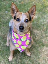 Tie on Pink lemonade ๐ Dog Bandana