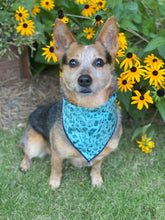 Happy Camper Tie on Dog Bandana