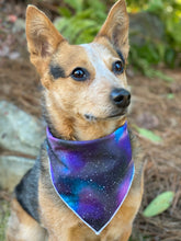 Stargazer Tie on Dog Bandana