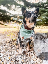 Evergreen 🌲 tie on Dog Bandana