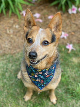 Tie on Wildwood Navy Dog Bandana