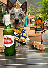 Tie on Happy Hour 🍻 Dog Bandana