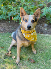 Tie On Fall Marigold Dog Bandana