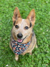 Tie on Mushrooms ๐ Dog Bandana