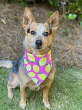 Tie on Pink lemonade ๐ Dog Bandana