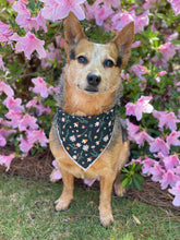 Green Wild flower tie on Dog Bandana