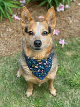 Tie on Wildwood Navy Dog Bandana