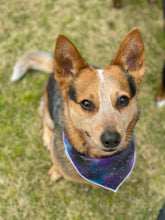 Stargazer Tie on Dog Bandana
