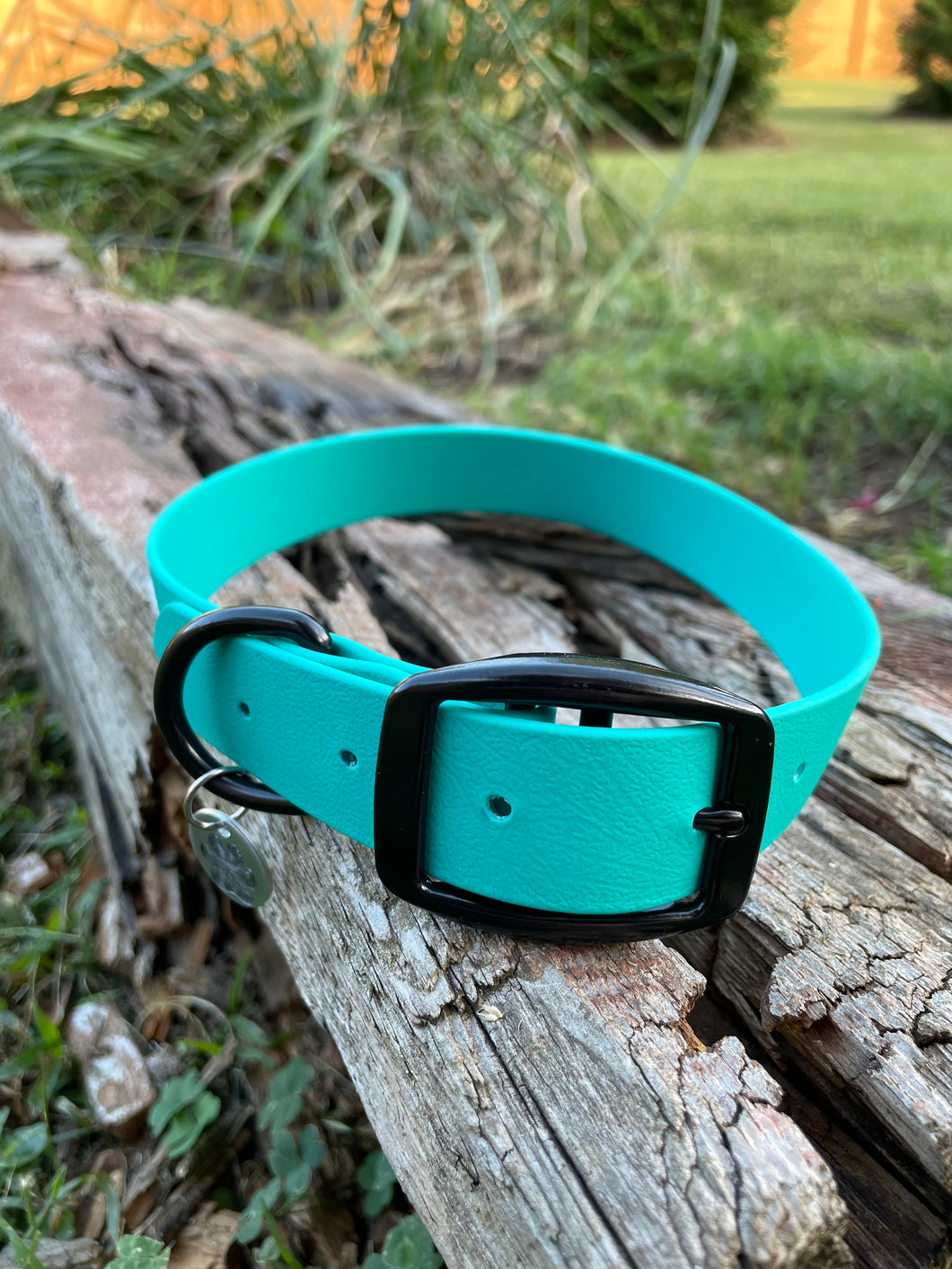 Vegan Leather Dog Collars 1