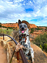 Tie On Cowboy Dog Bandana