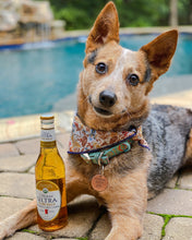 Drinking Buddy - Tag