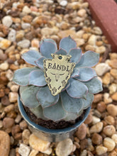 Desert cactus Arrowhead Dog Tag