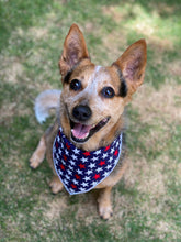 Tie on Patriotic Dog Bandana