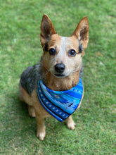 Indigo dreams tie on Dog Bandana