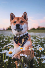 Tree Hugger 🌲 tie on Dog Bandana