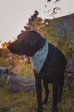 Happy Camper Tie on Dog Bandana