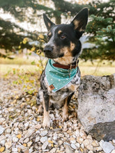 Evergreen 🌲 tie on Dog Bandana