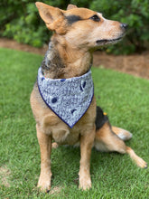 Tie on Shark Bite Dog Bandana