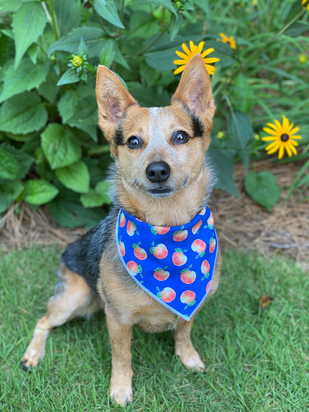 Tie on Georgia Peach ๐ Dog Bandana