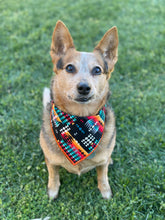 Sonoran tie on Dog Bandana