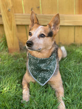 Adventure Nights Green Tie on Dog Bandana