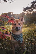 Happy Camper Tie on Dog Bandana
