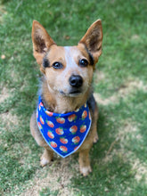 Tie on Georgia Peach ๐ Dog Bandana