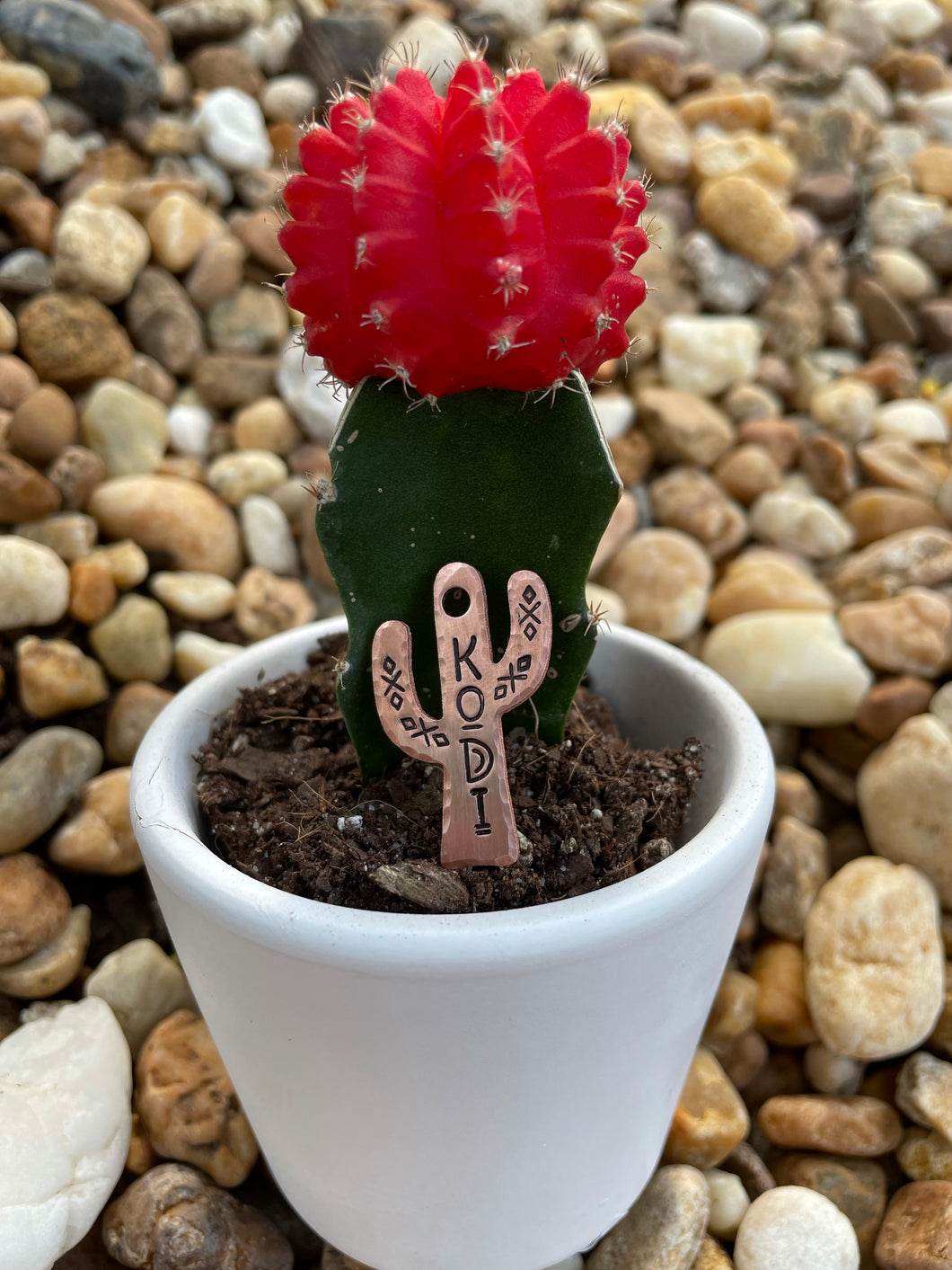 Cactus Dog Tag