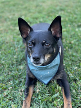 X marks the spot tie on Dog Bandana