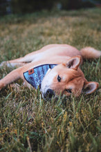 Indigo dreams tie on Dog Bandana