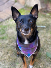Stargazer Tie on Dog Bandana