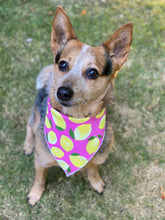 Tie on Pink lemonade ๐ Dog Bandana